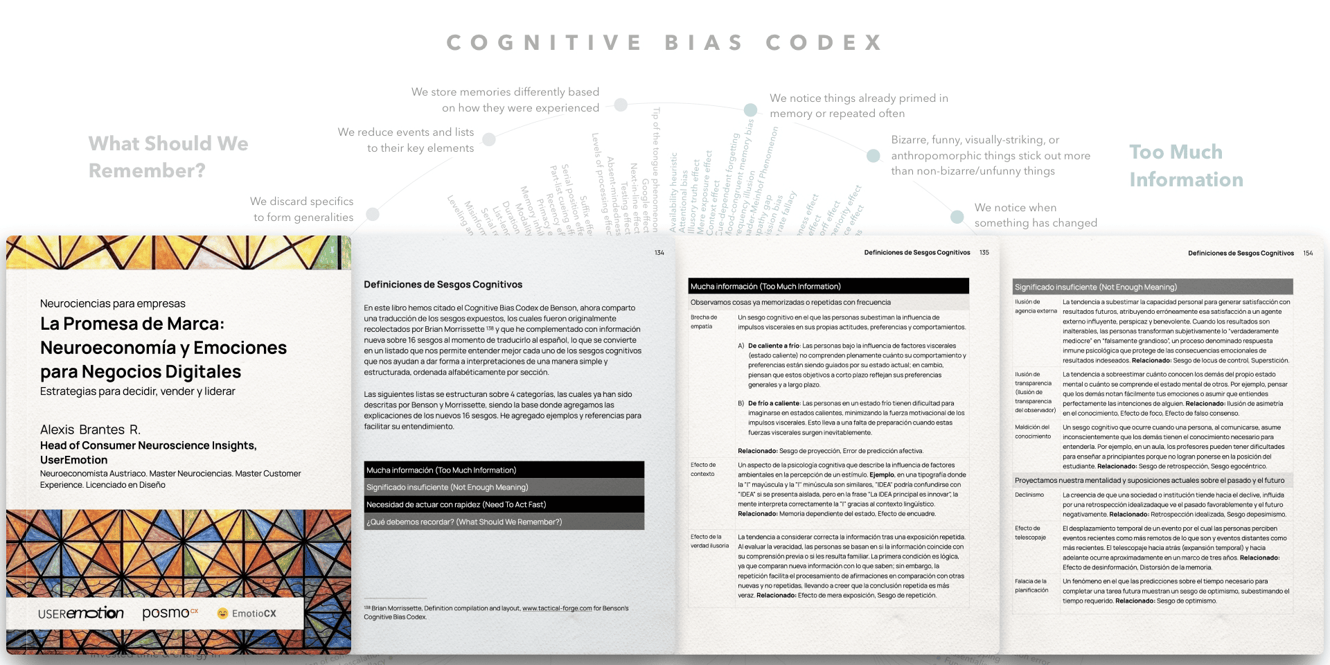 Imágenes del interior del libro 